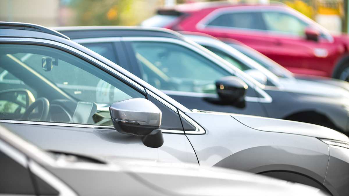 Everything you need to know before your Fact-Find call with Pike + Bambridge