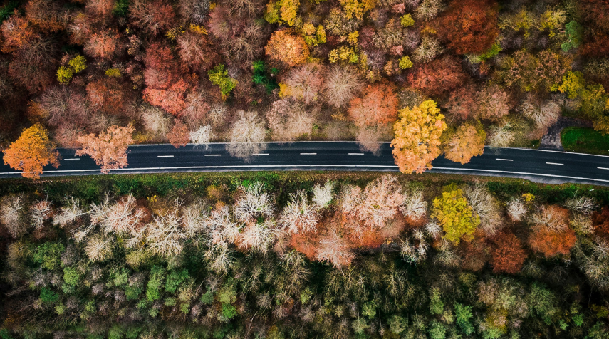 Is There a Right Time of The Year to Lease Your Next Vehicle?